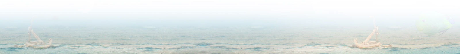 3D(dng)(hu)S(dng)(hu)